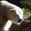 albino55's Avatar