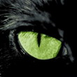 riccardosrbim's Avatar