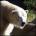 albino55's Avatar
