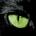 riccardosrbim's Avatar