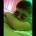 ladislaojaywick's Avatar